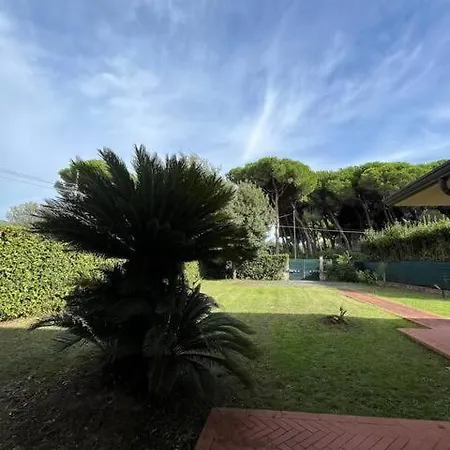 Singola E Indipendente Con Giardino *